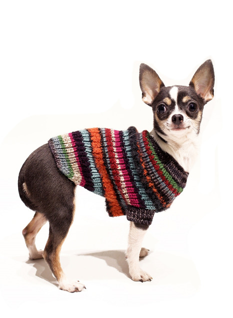 peruvian dog sweater